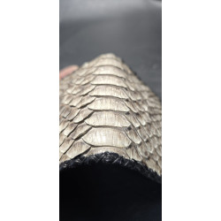 Snake Leather Card Holder Handcrafted Spain | Tabarez